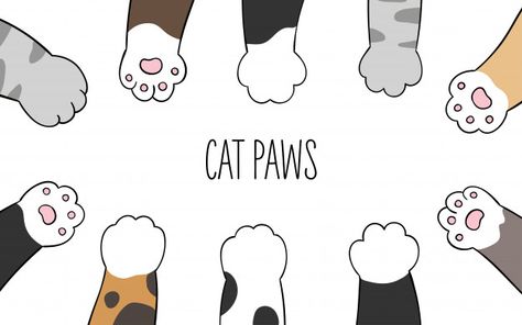 Cat Paw Drawing, Thai Tone, Paw Drawing, Hug Illustration, Baby Gift Wrapping, Draw Vector, Soft Paws, Illustration Human, Desain Buklet