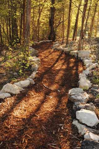 Enjoy well maintained walking paths through the woods. Cabin Indoor, Missouri Vacation, Cabin Resort, Ranch Landscaping, Wood Path, Homesteading Diy, Stone Creek, Wooded Landscaping, Road House