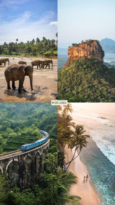 Must Go Travel Places, Sri Lanka Aesthetic, Holiday Travel Destinations, Top Places To Travel, Travel Inspiration Destinations, Adventure Travel Explore, Dream Vacations Destinations, Travel Locations, Dream Travel Destinations