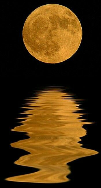 Moon Reflection On Water, Reflection Tattoo, Reflection Drawing, Moon Reflection, River Tattoo, Golden Moon, Moon Poster, Sky Landscape, Moon River