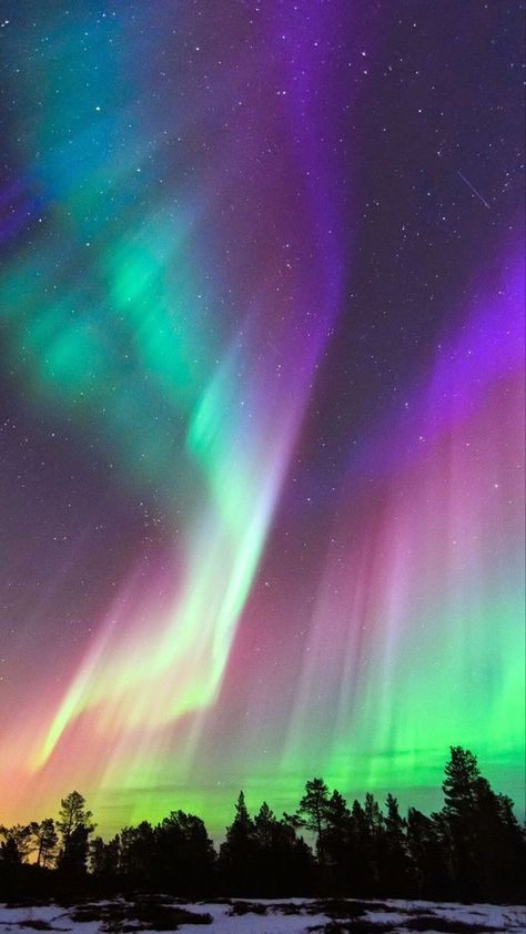 Aurora Borealis. Northern Lights Wallpaper, Northern Lights Art, Northern Lights Photography, Northern Lights Painting, Northern Lights (aurora Borealis), Aurora Borealis Northern Lights, See The Northern Lights, Lit Wallpaper, The Northern Lights