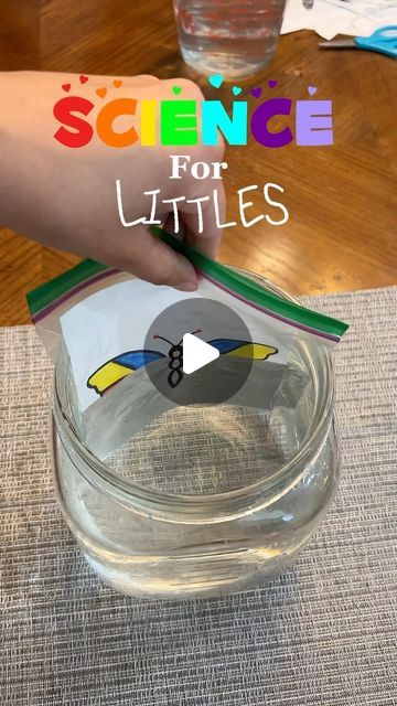 Centrifugal Force Experiment, Easy Science Crafts For Kids, Water Refraction Experiment, Refraction Of Light Experiment, Light Science Experiments For Kids, Steam Experiments For Kids, Science Experiments Toddlers, Simple Science Experiments For Preschool, Simple Science Projects For Kids