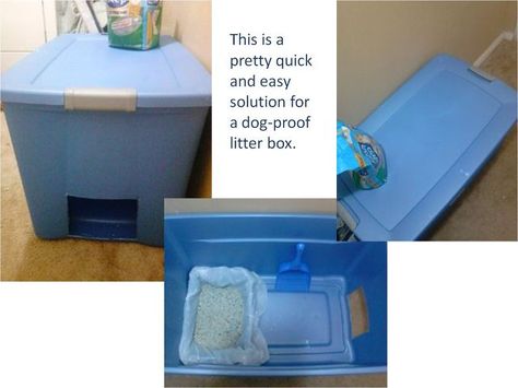 easy and quick solution for dog proof litter box, cleaning tips, pets animals, repurposing upcycling Dog Proof Litter Box, Diy Litter Box, Dog Litter Box, Pet Recipes, Large Storage Bins, Cat Houses, Cat Cleaning, Cat Happy, Pet People