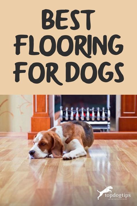 Whether you're considering purchasing a new home or remodeling, you should think about the best flooring for dogs. Dog Room Flooring, Dog Flooring Ideas, Dog Proof Flooring, Home Boarding For Dogs, Best Flooring For Dogs, Best Wood Floors For Dogs, Best Floors For Dogs, Dog Friendly Flooring, Most Durable Flooring