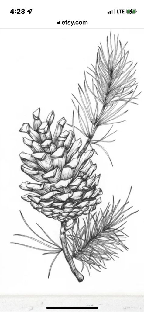 Pine Leaves Tattoo, Pine Tree And Flower Tattoo, Woodland Theme Tattoo, Pine Leaf Tattoo, Pine Bough Tattoo, Realistic Tattoo Ideas, Pine Cone Tattoos, Winter Tattoo Ideas Nature, Cone Tattoo