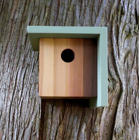 Birdhouse In Your Soul, Solid Stain Colors, Modern Birdhouses, Bird House Feeder, Rustic Birdhouse, Bird House Plans, Modern Birds, Birdhouse Designs, Teak Oil