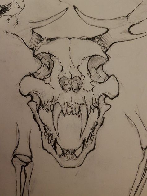 Animal Skull Drawing, Skull Sketch, Scary Drawings, Dragon Skull, Creepy Drawings, Beautiful Tattoo, Work Online, Next Tattoo, Skull Drawing