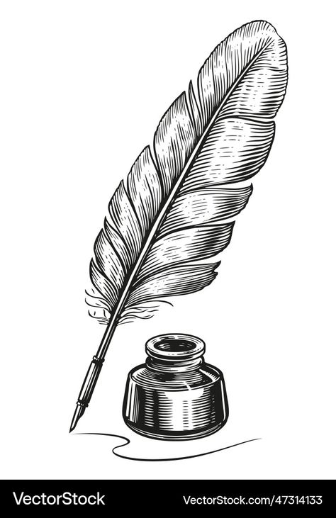 Feather Quill Drawing, Quill And Ink Drawing, Ink Pen Sketch, Quill Pen Drawing, Feathers Reference, Feather Pen Drawing, Vintage Drawing Sketches, Quill Illustration, Quill Pen Tattoo