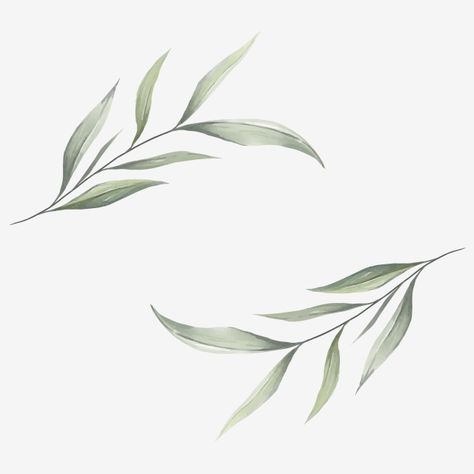 Olive Branch Tattoo, Branch Tattoo, Logo Composition, Wedding Logo Design, Leaf Clipart, Elegant Watercolor, Leaves Vector, Cat Air, 수채화 그림