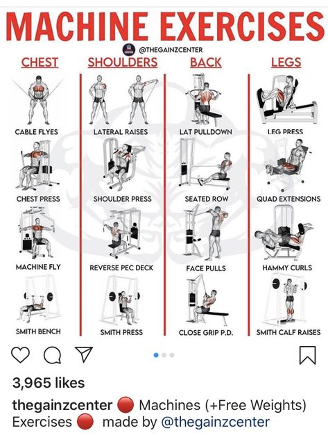 Weight Machine Workout, Planning Sport, Machine Exercises, Gym Workouts Machines, Back And Shoulder Workout, Workout Gym Routine, Gym Workout Guide, Workout Program Gym, Workout Plan For Men