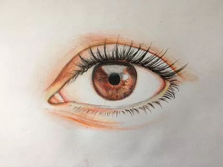 Pencil Drawing Eyes, Face Pencil Sketch, Pencil Sketches Of Faces, Pencil Sketch Tutorial, Draw An Eye, Drawing Basics, Sketch Tutorial, Eye Drawings, Draw A Face