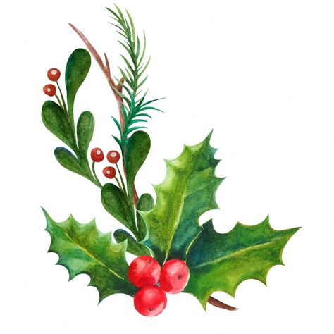 Premium Photo | Watercolor illustration christmas decoration holly leaves and berries Christmas Plants, Christmas Greenery, Watercolor Images, Etsy Christmas, Month Flowers, Holly Berries, Birth Month Flowers, Holly Leaf, Christmas Holly