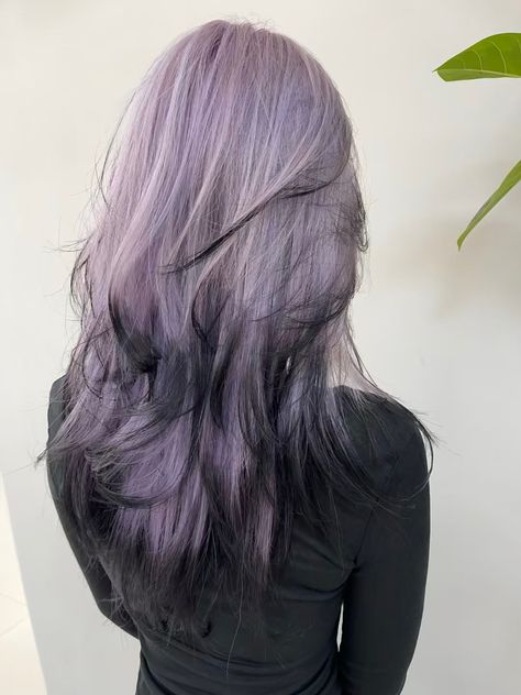 Black To Lavender Hair, Grayish Purple Hair, Purple Halo Hair, Ashy Purple Hair, Fox Dyed Hair, Pale Purple Hair, Cool Hair Dye Ideas, Alt Hair Colors, Purple Highlights Brown Hair