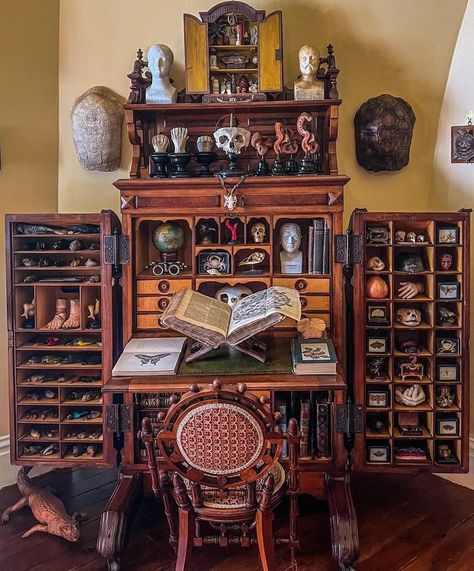 Cabinet of Curiosities — The Oddities Flea Market Oddities Decor, Octagon House, Cabinet Of Curiosity, Cabinet Of Curiosities, Antique Interior, Curio Cabinet, Gothic Home Decor, Gothic House, House Room