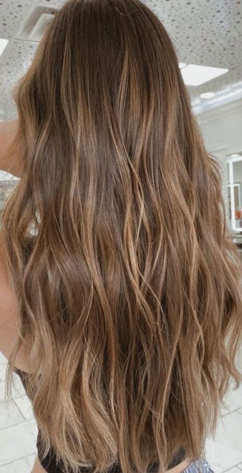 Subtle Balayage Light Brown Hair, Light Brown Hair With Small Highlights, Lightening Brown Hair, Brown Hair With Slight Highlights, Beachy Brunette Hair Sun Kissed, Sunkissed Light Brown Hair, Light Brown Hair Inspo Color, California Highlights Hair, Brown Hair With Warm Blonde Highlights