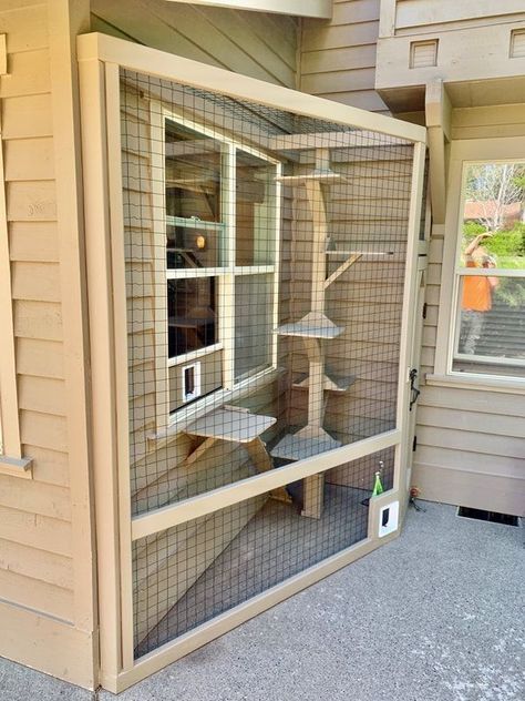 (paid link) Six Catio Ideas | How will one make my cat purr for joy? Katt Hus, Katt Diy, Katt Grejer, Koti Diy, Cat Patio, Outdoor Cat Enclosure, Cat House Diy, Outdoor Cat House, Cats Diy Projects