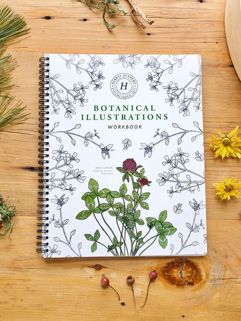 Botanical Illustrations Workbook on SALE from Herbal Academy until October 25, 2020 #BookSale #HerbalAcademy #Herbalist #Gifts Herbal Academy, Herbal Education, Herbal Apothecary, Illustration Botanique, Natural Parenting, Plant Identification, Botanical Illustrations, Nature Study, Plant Illustration