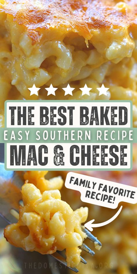 the best baked mac and cheese recipe Easy Baked Mac And Cheese Recipe, Best Baked Mac And Cheese Recipe, Easy Baked Mac And Cheese, Creamy Mac And Cheese Recipe, Makaroni Keju, Mac And Cheese Recipe Soul Food, Macaroni And Cheese Casserole, Best Mac N Cheese Recipe, Baked Mac And Cheese Recipe