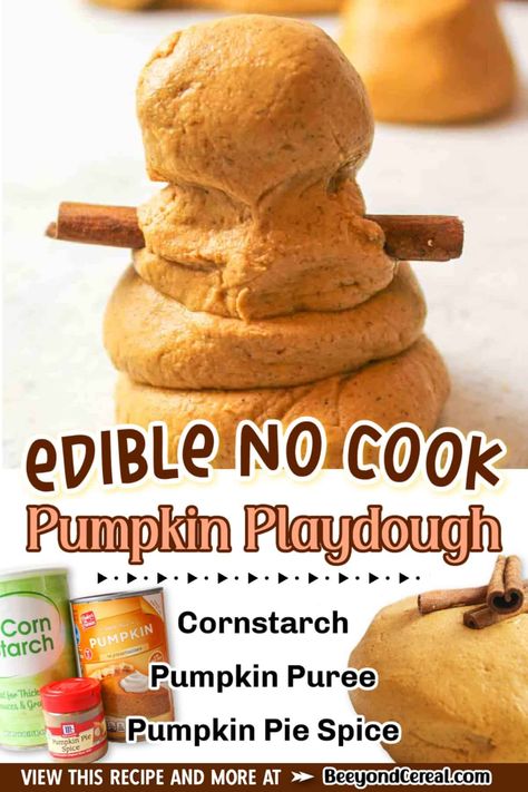 Pumpkin Playdough Recipe No Cook, November Homeschool, Pumpkin Playdough, Sensory Recipes, Pumpkin Activities Preschool, Edible Play Dough Recipe, Cook Pumpkin, Pie Craft, Pumpkin Fluff