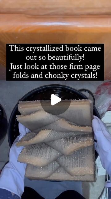 ᴛʜᴇ ʜᴏʀʀᴏʀ ɢᴀʟʟᴇʀʏ on Instagram: "CRYSTALLIZED BOOKS !!! ✨📖 I can’t wait to see this one all dried out !! . By @half.moon.magic . . #crystal #crystals #crystalbook #crystalbooks #crystalgram #recycledart #recycledbook #recycledcrafts #crystallover #booklover #bookworm #books #booklove #bookstagram #lovebooks #bookish #bookaesthetic #bookaesthetics #bookishbounds #witchyvibes #witchy #crystalsofinstagram #gifts #curiosities #oddities" Crystalised Book, Diy Booklover Crafts, How To Crystallize A Book, Borax Crystal Book Diy, How To Crystallize Books, Diy Crystalized Book, Crystallized Book Diy, Borax Book, Fake Crystals Diy