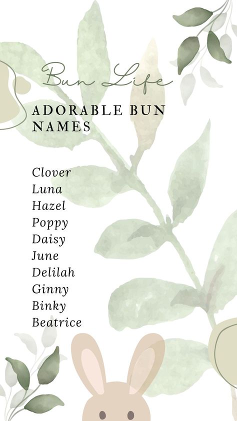 Rabbit Names Unique, Unique Bunny Names, Cute Bunny Names List, Lapin Aesthetic, Names For Bunnies, Rabbit Names Ideas, Bunny Names Ideas, Cite Bunny, Indoor Bunny House