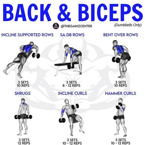 ⏰ Gym Tips Posted Every Day!⏰ on Instagram: “💙 Back & Biceps (Dumbbells Only) Tag a friend that needs to try this! -  Follow @TheTrainingManual for daily fitness/nutrition tips &…” Dumbbell Only Pull Day, Back Workout Gym Dumbbells, Lat Pull Down Dumbbell, Back And Bicep Workout With Dumbbells, Back And Bicep Superset Workout, Pull Dat Workout, Back Day With Dumbbells, Back Bicep Workout Gym, Back Bicep Dumbbell Workout