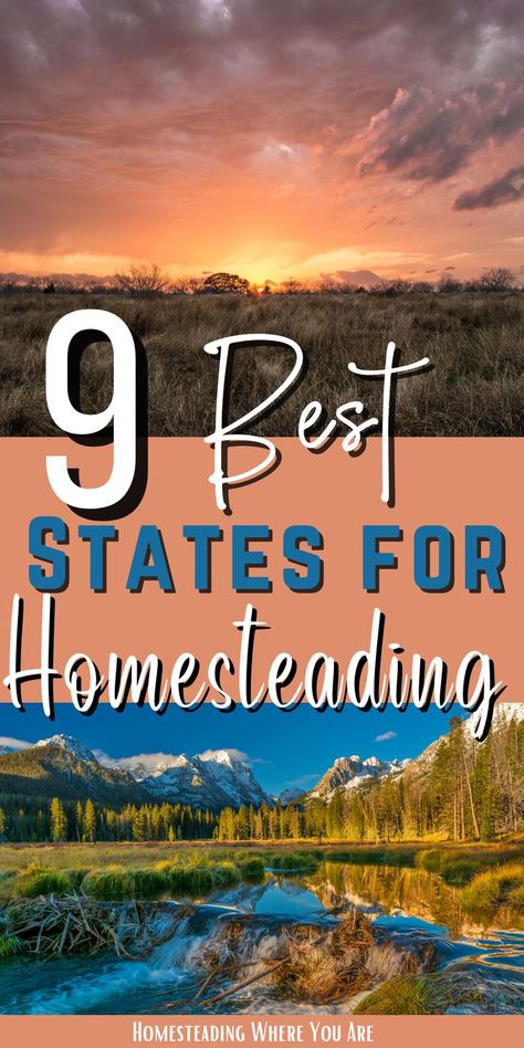 Home Stead Garden, Homestead Selling Ideas, Starting A Farm Homesteading, How To Start A Homestead, Starting A Homestead, How To Homestead, Home Steading Ideas, Tennessee Homestead, Home Steading