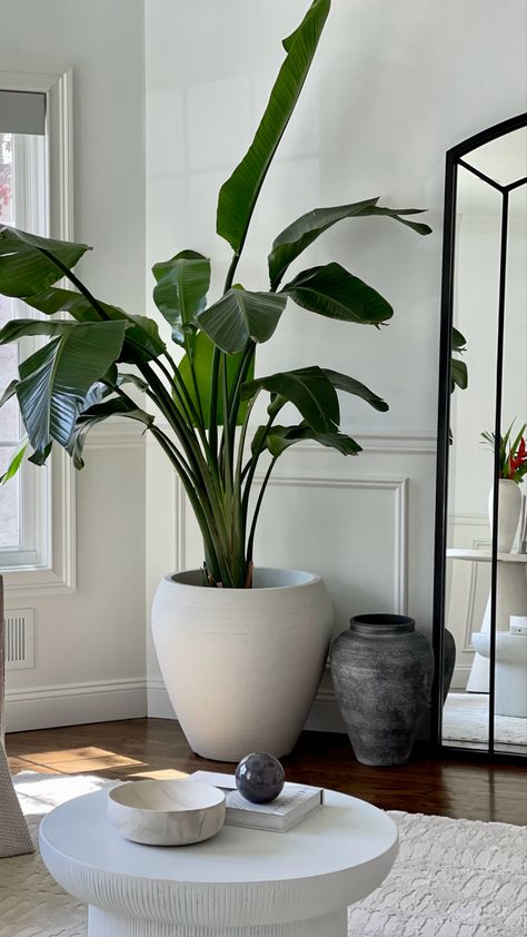 Indoor Plant Vase Decor, Big Green Plants Indoor, Large Vase In Living Room, Tall Potted Plants Indoor, Round Rug Round Table, Plant By Mirror, Minimal Plant Decor Living Rooms, Large Fake Indoor Plants, Big Plant In Living Room