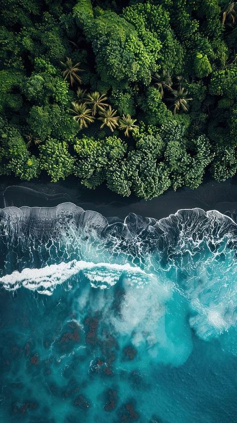 Lush tropical forest meets ocean | free image by rawpixel.com / Nunny Forest Meets Ocean, Forest And Ocean, Ocean Forest, Natural Wallpaper, Wallpaper Beach, Infographic Design Template, About Nature, Ocean Wallpaper, Forest Wallpaper