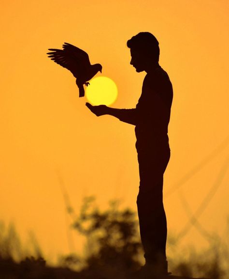 National Geographic Photo Contest, Silhouette People, Silhouette Photography, Sun Photo, Popular Photography, Silhouette Photos, Phone Wallpaper For Men, Photo Art Gallery, Draw On Photos