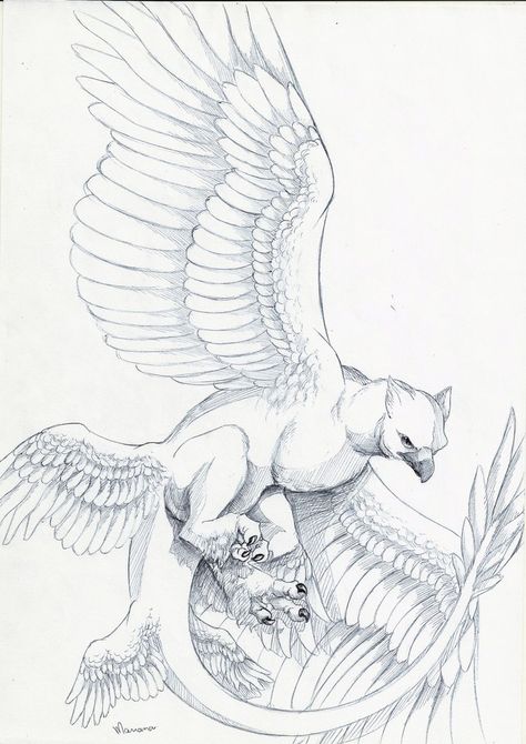 Frank The Thunderbird by Mariana [©2016] Thunderbird Sketch, Thunderbird Drawing, Fantastic Beasts Drawing, Fantastic Beasts Tattoo, Fantastic Beasts Thunderbird, Griffin Artwork, Thunderbird Art, Griffin Drawing, Dragon Sketch