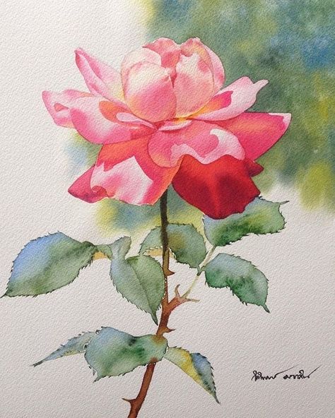 Paint Therapy, Ako Kresliť, Rose Paintings, Loose Watercolor Paintings, Watercolor Flowers Tutorial, Watercolor Projects, Watercolor Flower Art, 수채화 그림, Watercolor Flowers Paintings