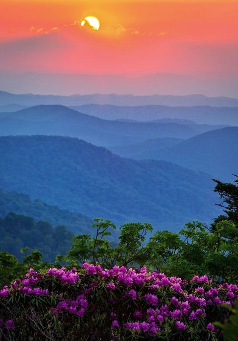 Incredible sunsets are one of the many rewards of driving or hiking along the Blue Ridge Parkway, a national scenic treasure in the Smoky Mountains, rhododendrons bloom in this gorgeous photo that was taken along... Blue Ridge Mountains, North Carolina Mountains, Appalachian Trail, Mountain Love, Mountain Sunset, Appalachian Mountains, Foto Inspiration, Nashville Tennessee, Blue Ridge