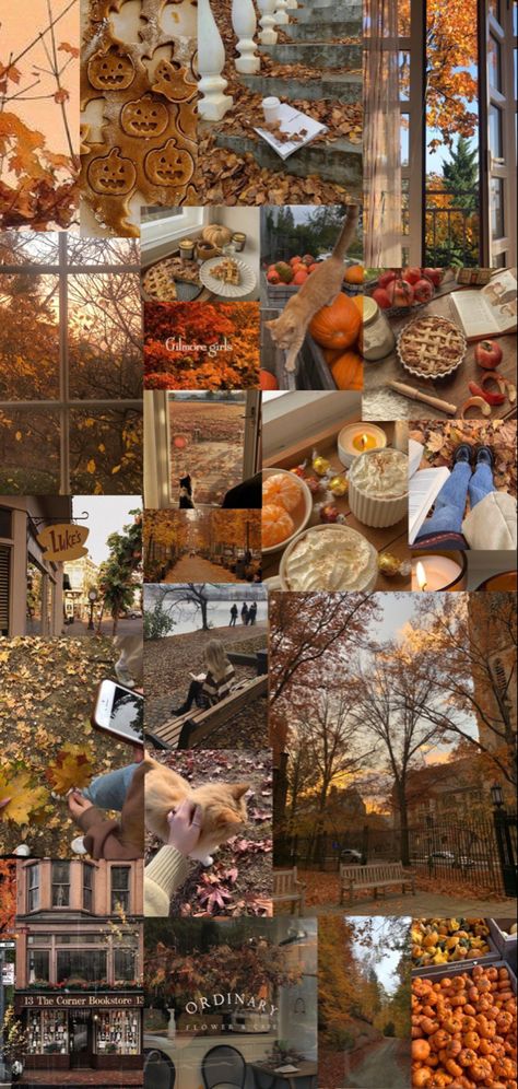 Fall background collage aesthetic, Gilmore girls, cozy fall, orange, neutral colors, october, november aesthetics, fall baking pumpkins, autumn Autumn Wallpaper September, Fall Lockscreen Aesthetic Collage, Fall Collages Wallpaper, Fall Wallpapers Collage, October Aesthetic Collage, November Aesthetic Wallpaper Collage, Fall Wallpaper 2023, Fall Wallpapers Collages, Fall Iphone Wallpaper Collage