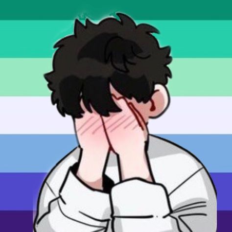 Demiboy Pfp, Lgbtq Pfp, Pride Icons, Emo Pfp, Gay Flag, Gay Aesthetic, Flag Icon, Gay Memes, Lgbt Art