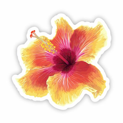 Hibiscus Sticker 3 Global Village Kailua Boutique Hydroflask Aesthetic Stickers, Nature Stickers Aesthetic, Hibiscus Flower Sticker, Island Stickers, Hawaii Stickers, Hibiscus Sticker, Tropical Stickers, Hibiscus Drawing, Stickers To Print