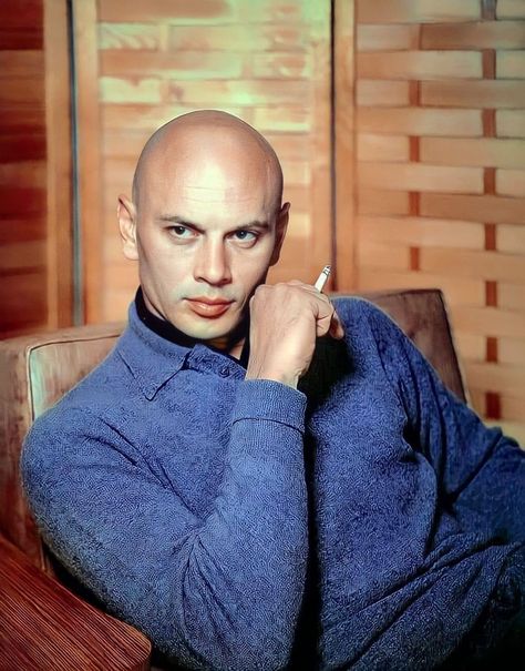 Bald Style, Yul Brynner, Charlton Heston, Epic Hero, Big Screen Tv, Art Men, Movie Photo, Vintage Hollywood, History Facts