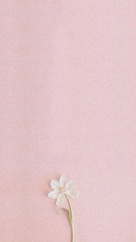 Light Pastel Pink Aesthetic, Iphone Wallpaper Aesthetic Light Pink, Light Pink Phone Background, Sand Pink Wallpaper Iphone, Light Pink Astetic Wallpaper, Light Pink Background Aesthetic Iphone, Light Pink Spring Wallpaper, Phone Backgrounds Aesthetic Pink, Pastel Pink Wallpaper Hd