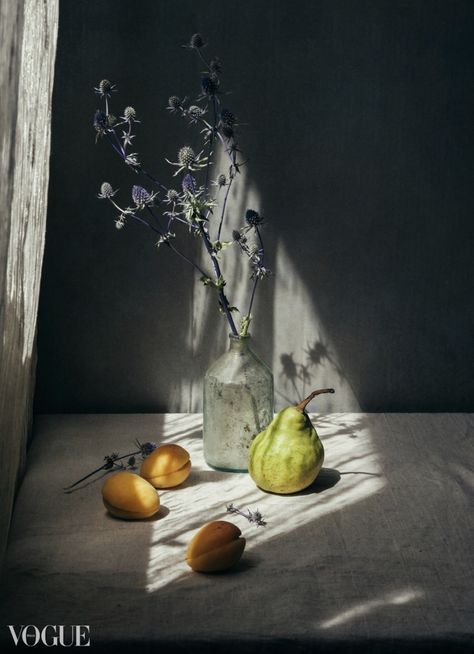 Moody Pic, Creative Pics, Light And Shadow Photography, Still Life Pictures, Life Drawings, Art Still Life, Shadow Photography, Fruit Photography, Still Life Photos