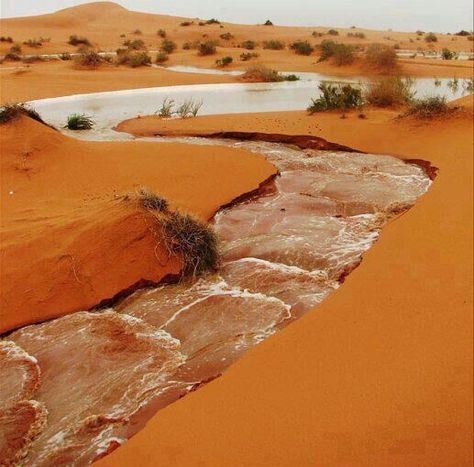 al qarara, algeria House Martell, Deserts Of The World, Desert Oasis, المملكة العربية السعودية, Desert Landscape, Desert Landscaping, Sand Dunes, In The Desert, The Sand