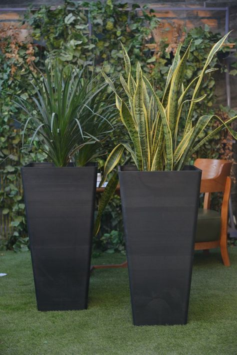 Transform your outdoor space into a welcoming oasis with our stylish collection, available in various sizes, shapes, and finishes. From sleek, contemporary designs to timeless classics, our entrance pots and planters are versatile enough to complement any architectural style and landscape.

#Tags:

#EntranceDecor #OutdoorPlanters #FrontDoorGreenery #HomeWelcoming #GardenStyle #PlantDecor #EntrywayCharm Flower Pot Entrance, Plant For Front Door Entrance, Plant Pots Outside Front Door, Pot Plant Front Door Entrance, Entrance Plants Outdoor Front Doors, Outdoor Tall Planters Front Door, Front Door Pots Plants Entrance Planters, Black Planters Front Door, Front Door Plants Pots Entrance