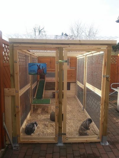 Diy Rabbit Hutch, Rabbit Pen, Outdoor Rabbit Hutch, Rabbit Enclosure, Rabbit Habitat, Two Rabbits, Bunny Hutch, Raising Rabbits, Pet Bunny Rabbits