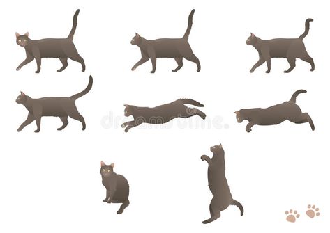 Walking cat. Vector illustration of cat in different positions #Sponsored , #AD, #SPONSORED, #cat, #illustration, #Vector, #Walking Running Cat Tattoo, Cat Walking Illustration, Running Cat Illustration, Cat Walking Tattoo, Cat Walking Reference, Cat Drawing Walking, Cat Running Illustration, Cat Walking Drawing, Japanese Fiction