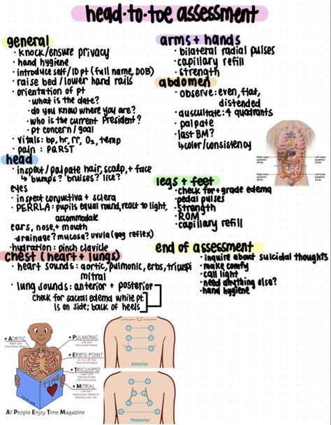 Nursing School Assessment, How To Write Nursing Notes, Cpr Notes Pretty, Focused Assessment Nursing, Safety Nursing Notes, Skin Nursing Notes, Nurse Must Haves Student, Introduction To Nursing Notes, Meal Prep Nursing School