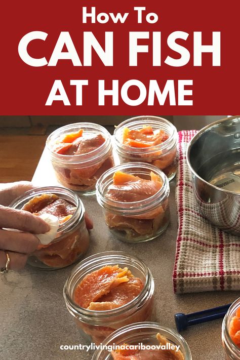 How To Can Salmon At Home, Canning Trout Recipes, Canned Trout Recipes, How To Can Salmon, How To Use Canned Salmon, Canning Fish Pressure, Canning Fish Recipes, Pressure Canning Fish, Canning Smoked Fish