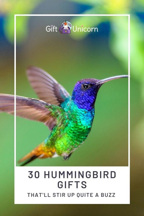 Hummingbird Symbolism, Hummingbird House, Hummingbird Gifts, Birthday Gifts For Him, Gifts For Animal Lovers, Personal Gifts, How To Attract Hummingbirds, Humming Bird Feeders, Farmers Markets