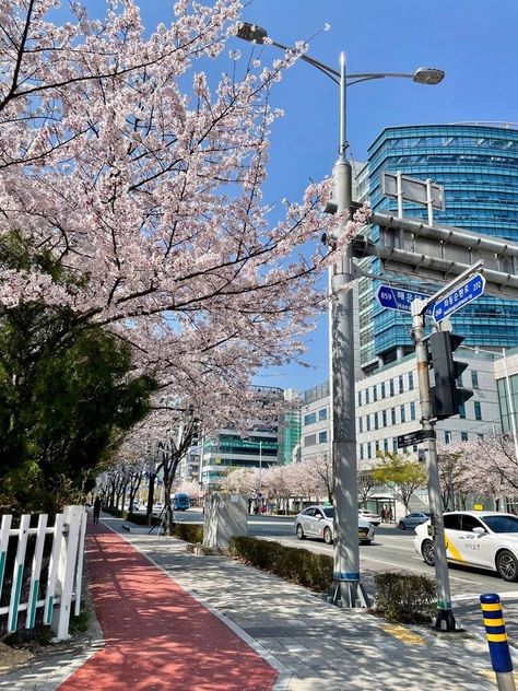 Spring In Korea Aesthetic, Seoul City Aesthetic, Korean Places South Korea, Korean Vibes Aesthetic, Korea In Spring, South Korea Summer, Seoul Korea Aesthetic, South Korea Aesthetic, Spring In Korea