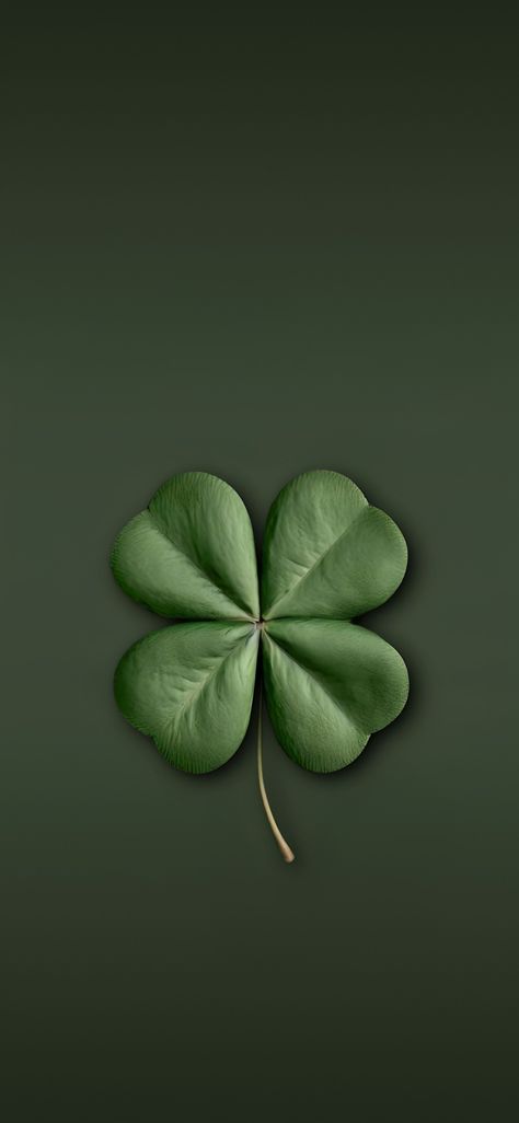 Clover Leaf Wallpaper, Dark Color Wallpaper, Good Luck Wallpaper, Wallpaper Iphone Hd, Clover Wallpaper, Love Rose Flower, Lucky Wallpaper, Qhd Wallpaper, Android Wallpaper Art