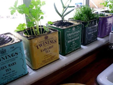 Window Sill Herb Garden, Apartment Herb Gardens, Recycled Planters, Upcycled Planter, Creative Planter, Diy Herb Garden, Plant Pot Diy, Herb Garden Design, Diy Planter Box