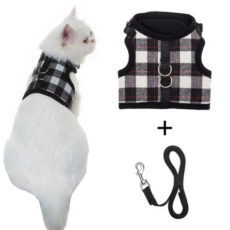 The Best Cat Harness that Your Cat Will Love | OliveKnows Best Cat Harness, Kitten Harness, Cats Outside, Harness And Leash Set, Cat Essentials, Puppy Pads, Dog Vest Harness, Silly Cats Pictures, Cat Harness